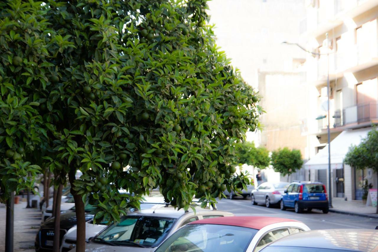 קטאניה B&B Solea מראה חיצוני תמונה